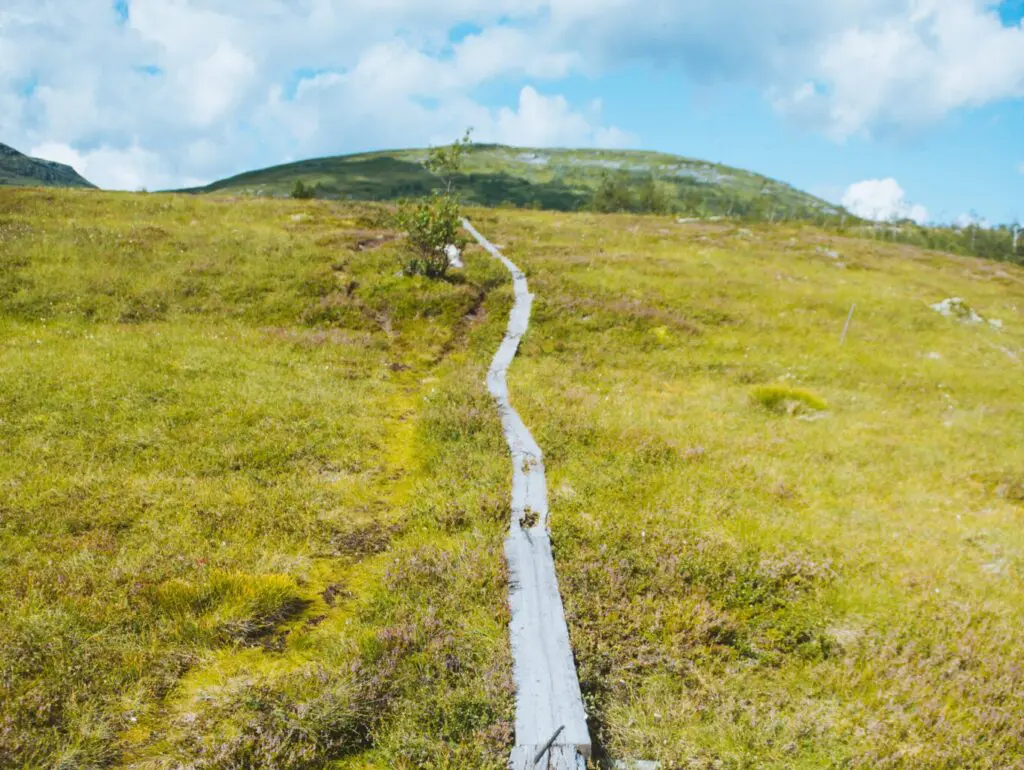 Wandern Norwegen Hardangervidda
