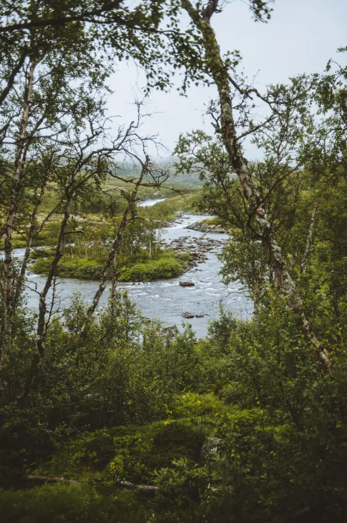 Wandern Norwegen Hardangervidda