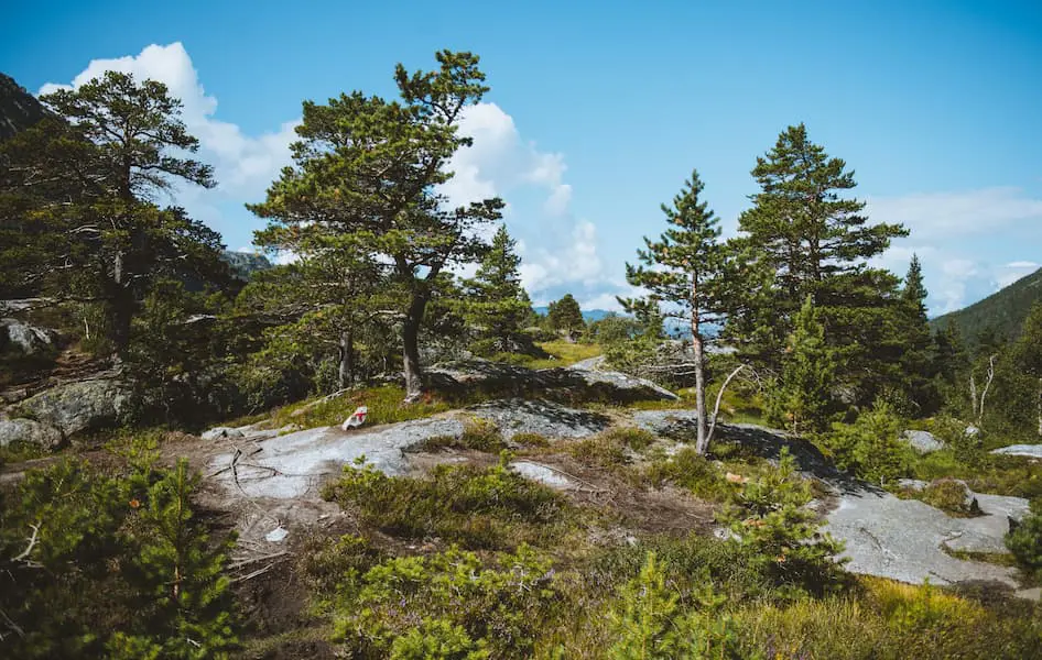 Wandern Norwegen Hardangervidda