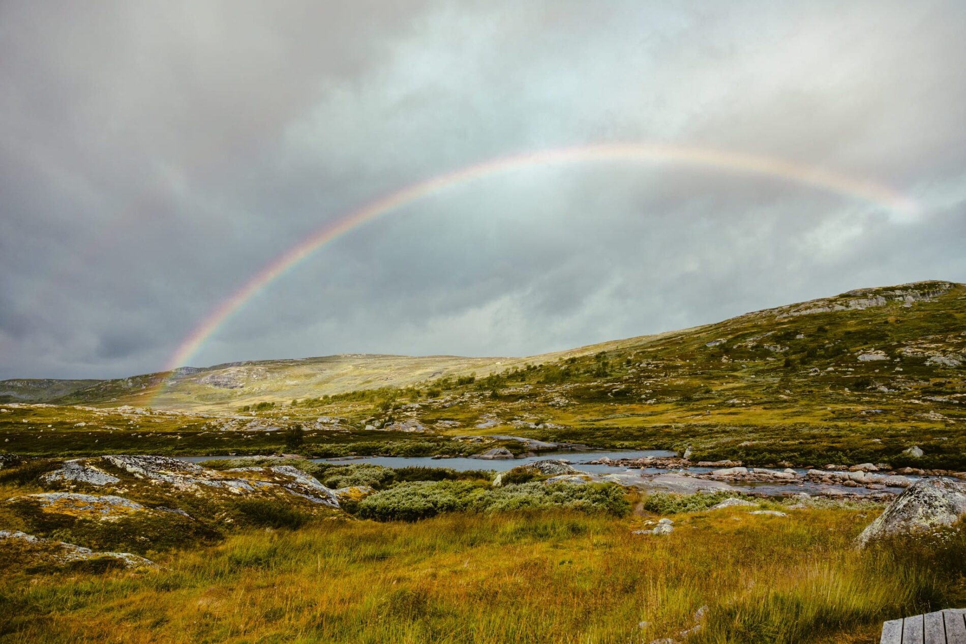 Wandern Norwegen Hardangervidda